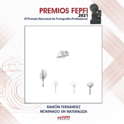 RAMÓN FERNÁNDEZ 1