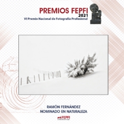 RAMÓN FERNÁNDEZ 2